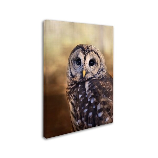 Jai Johnson 'The Wise Owl' Canvas Art,35x47